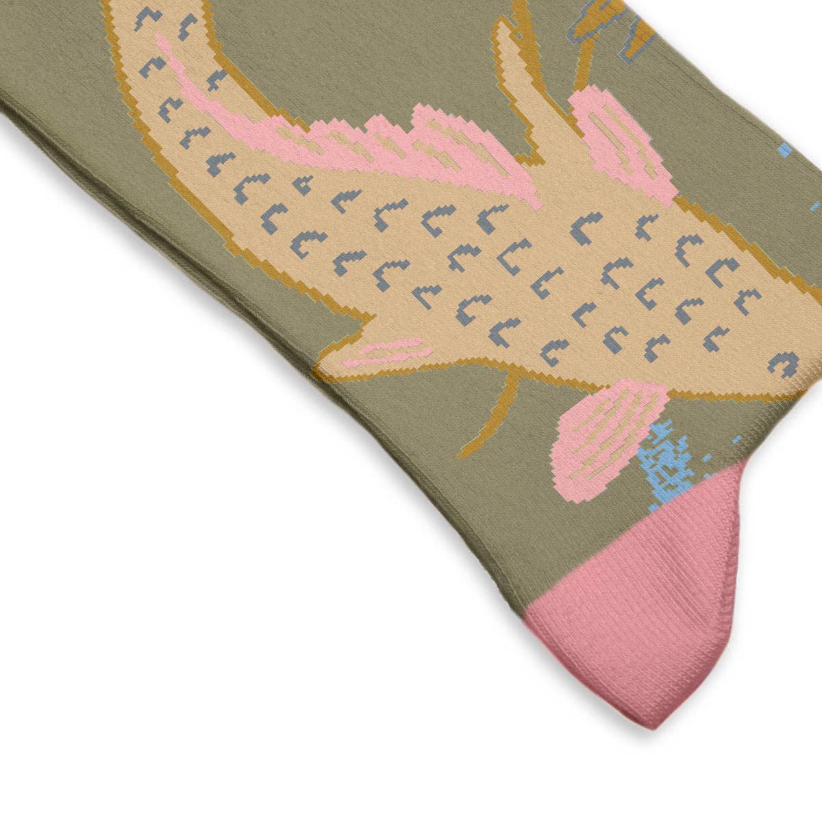 Swimming Carps Socks