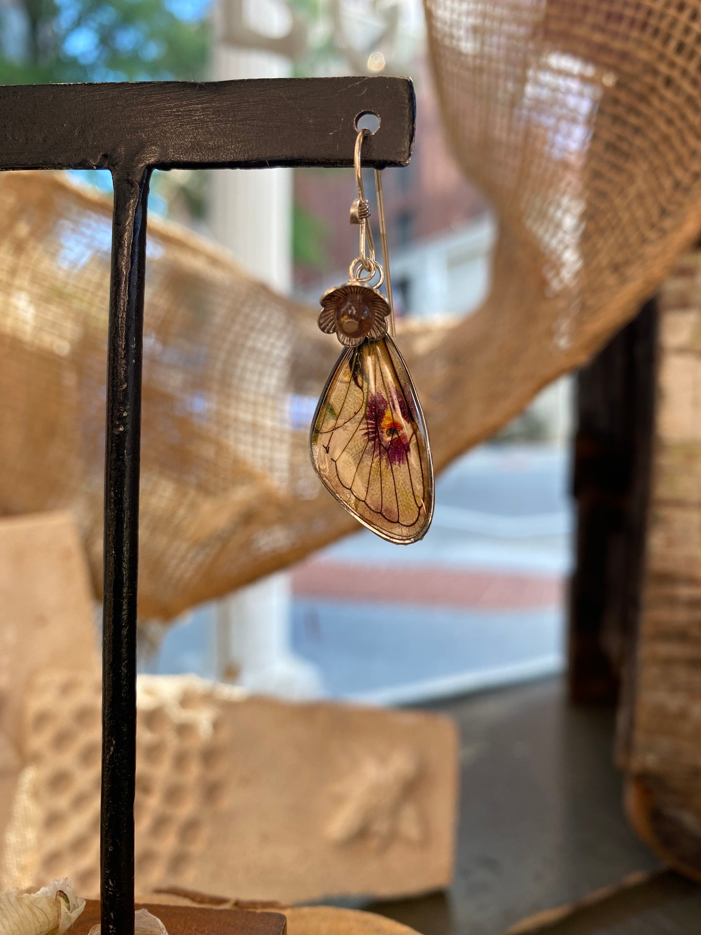 Cicada Wings On Vintage Postcard Earrings (1) *E267