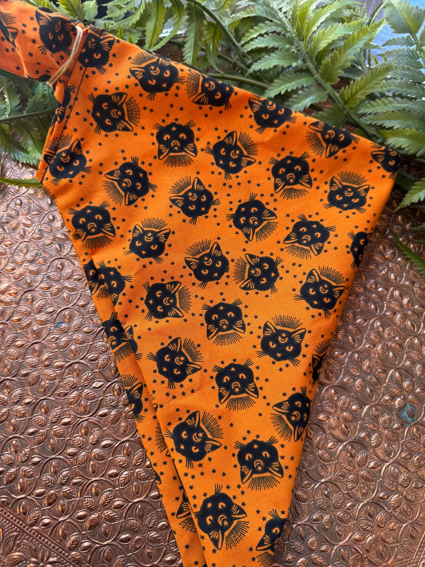 Black Cats / Orange Bandana #SS9*