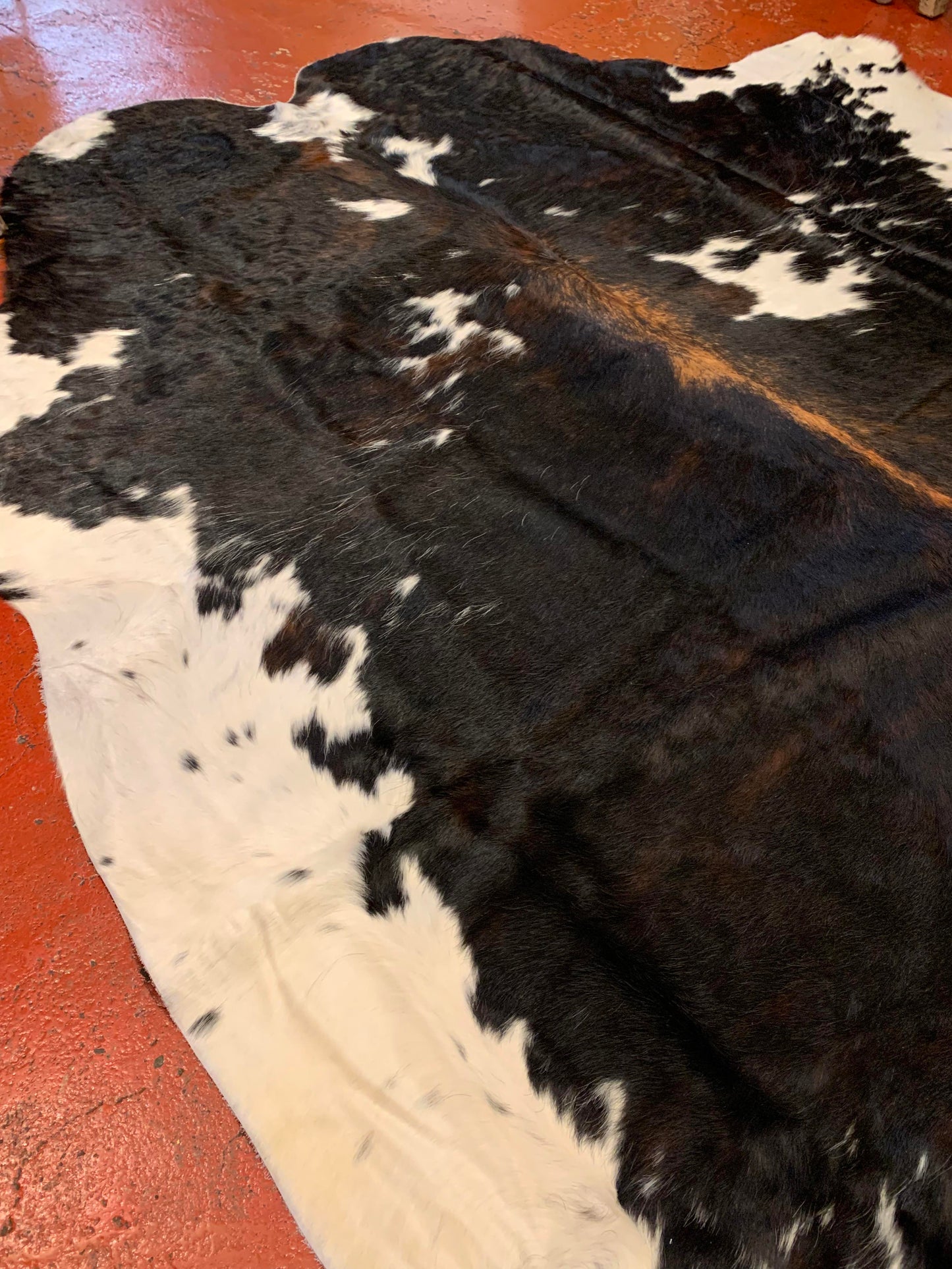 Dark Tricolor Large Cowhide Rug - La De Da