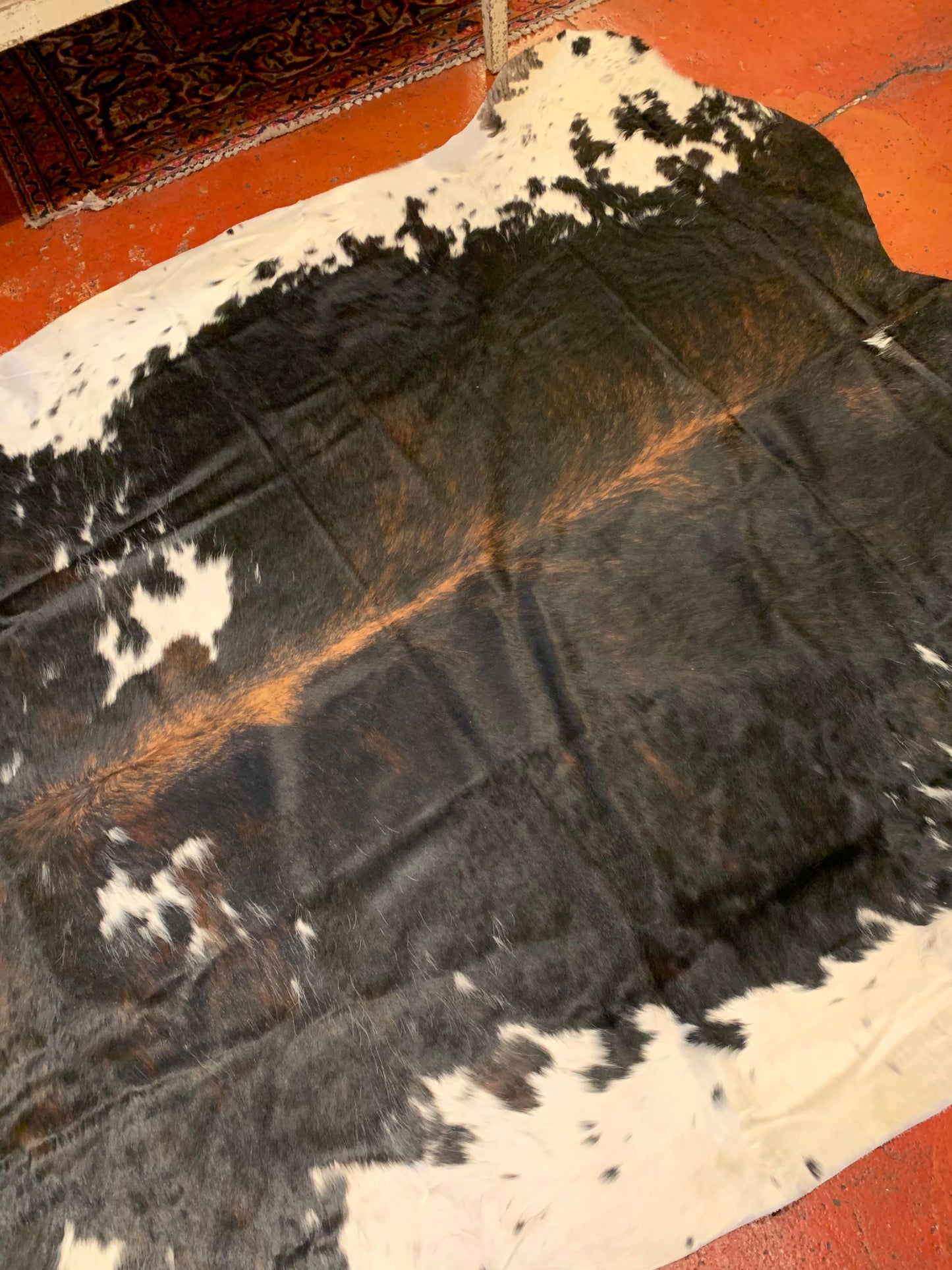 Dark Tricolor Large Cowhide Rug - La De Da