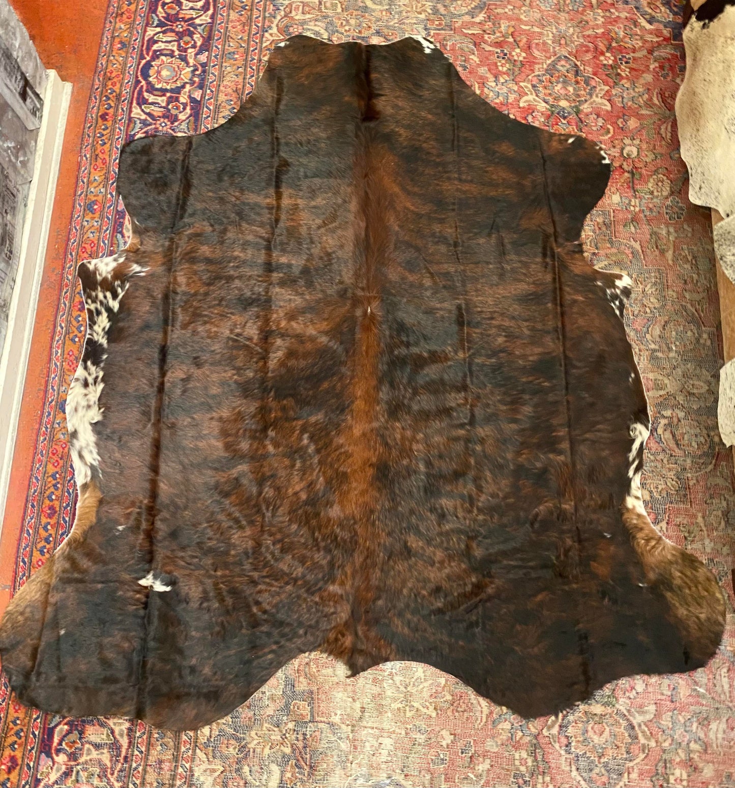 Cowhide Rug - Layne