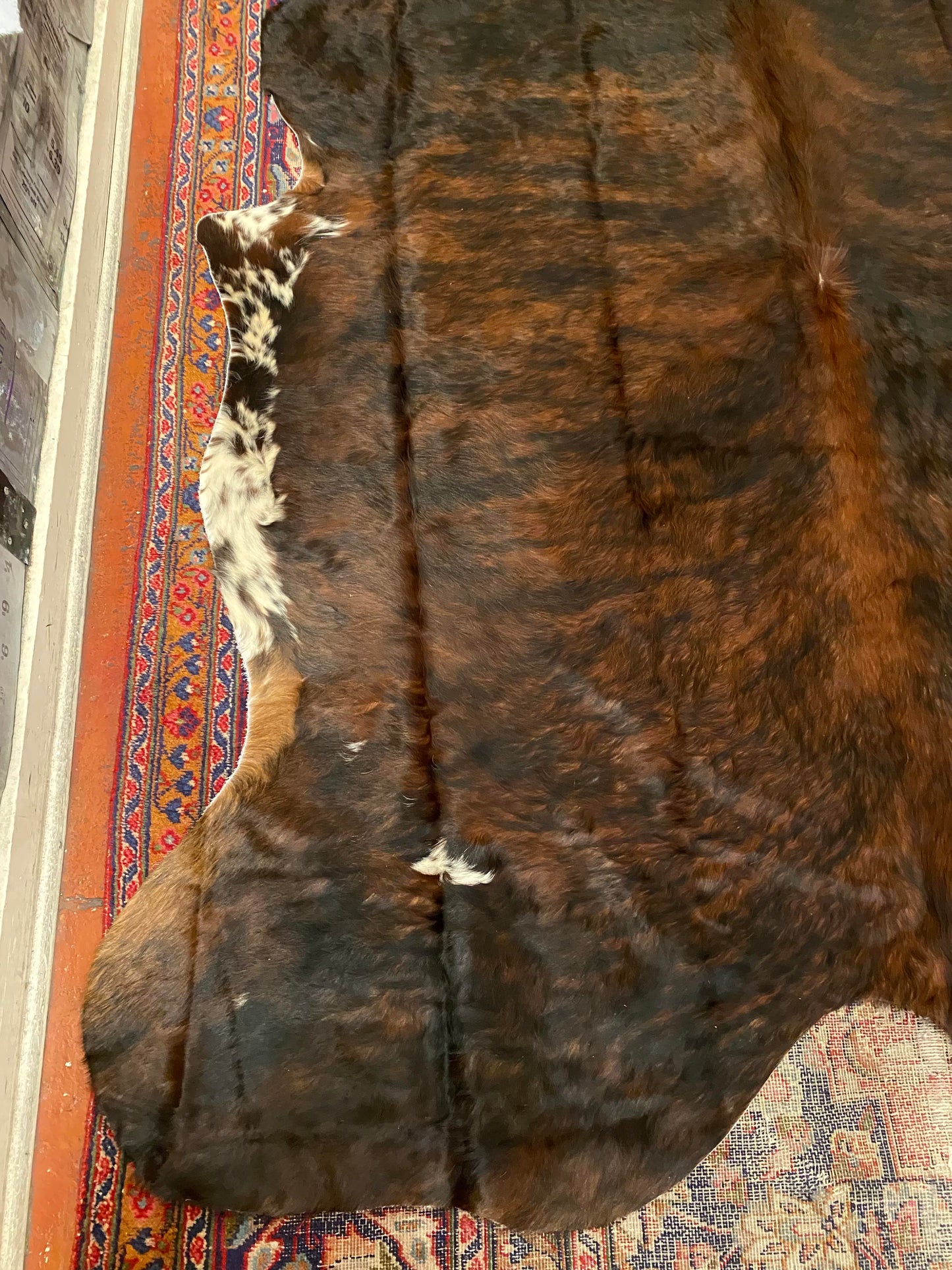 Cowhide Rug - Layne