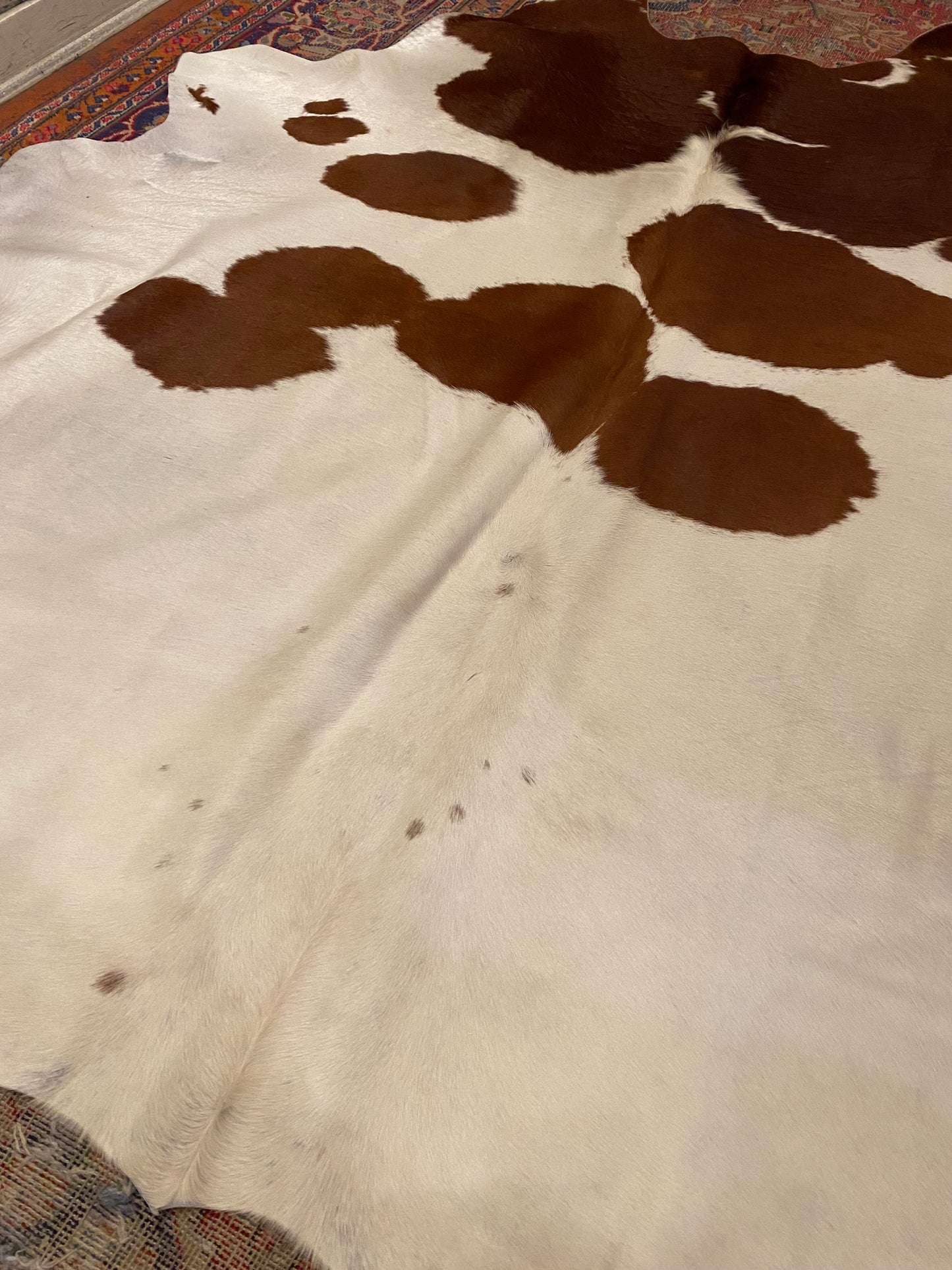 Cowhide Rug - Stevie