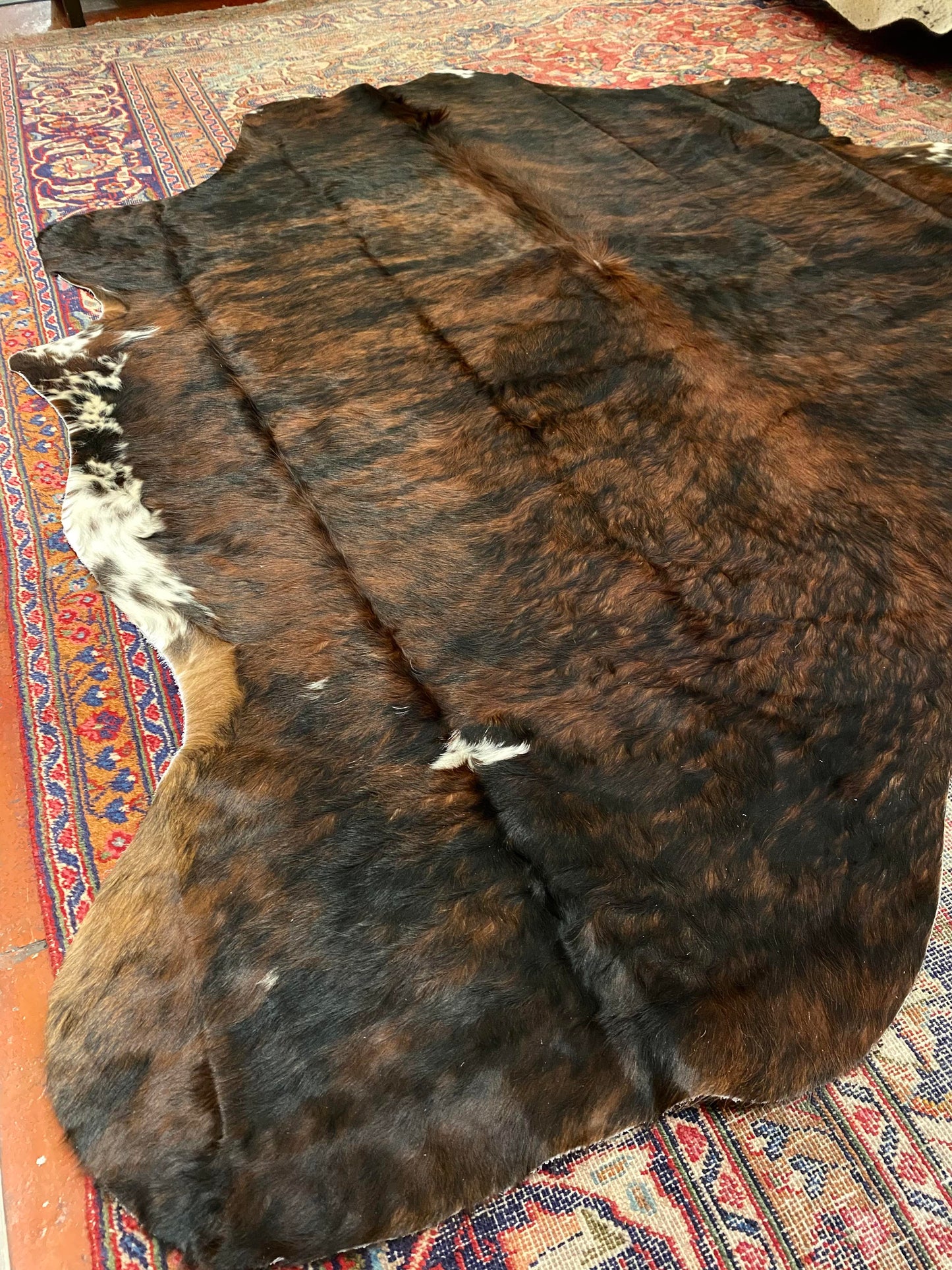 Cowhide Rug - Layne