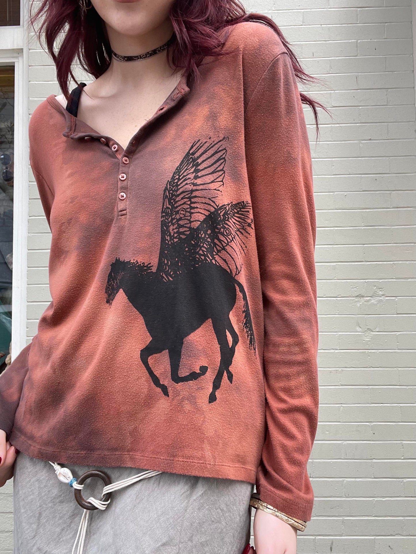 Pegasus Graphic Long Sleeve T-shirt #1