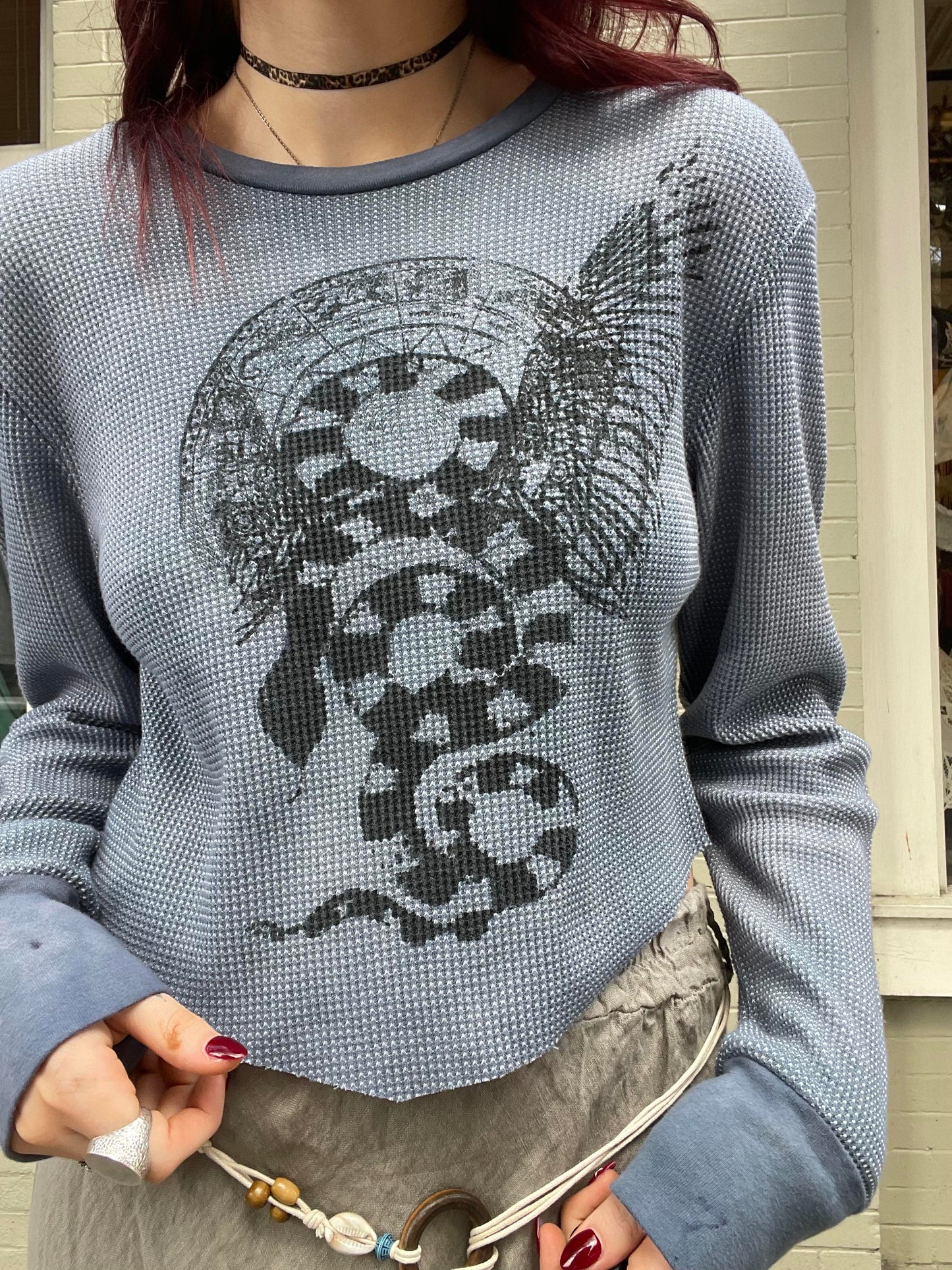 Winged Serpent Graphic Long Sleeve Top #1