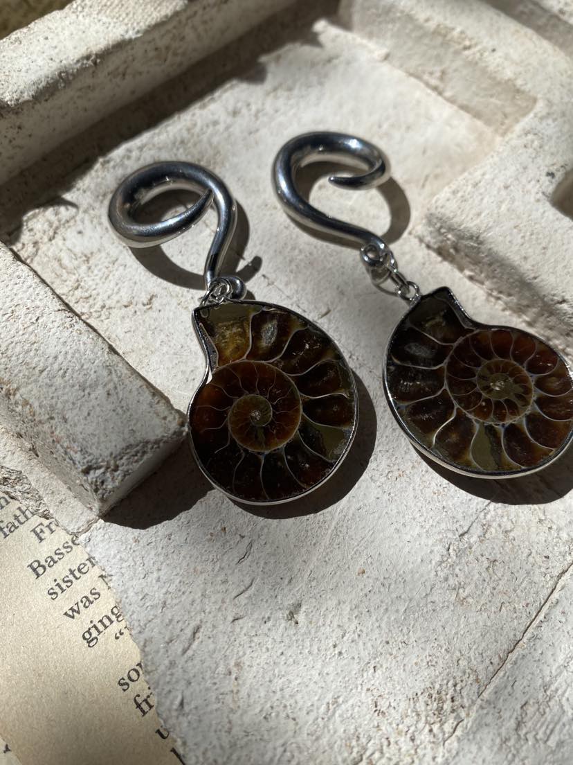 Ammonite and Silver Gauges* #IV35