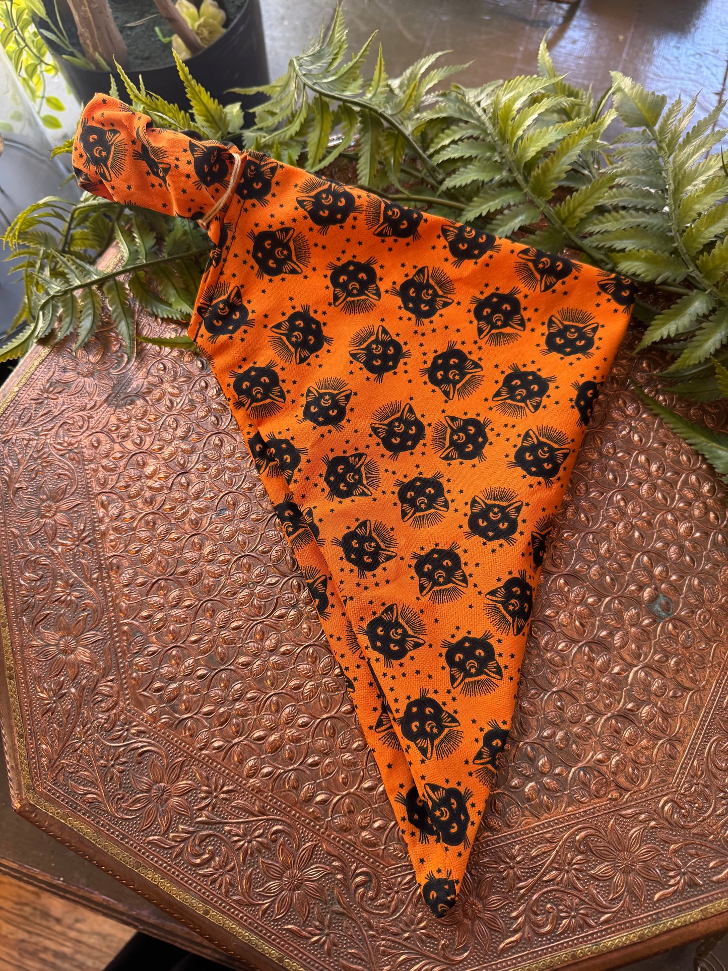 Black Cats / Orange Bandana #SS9*