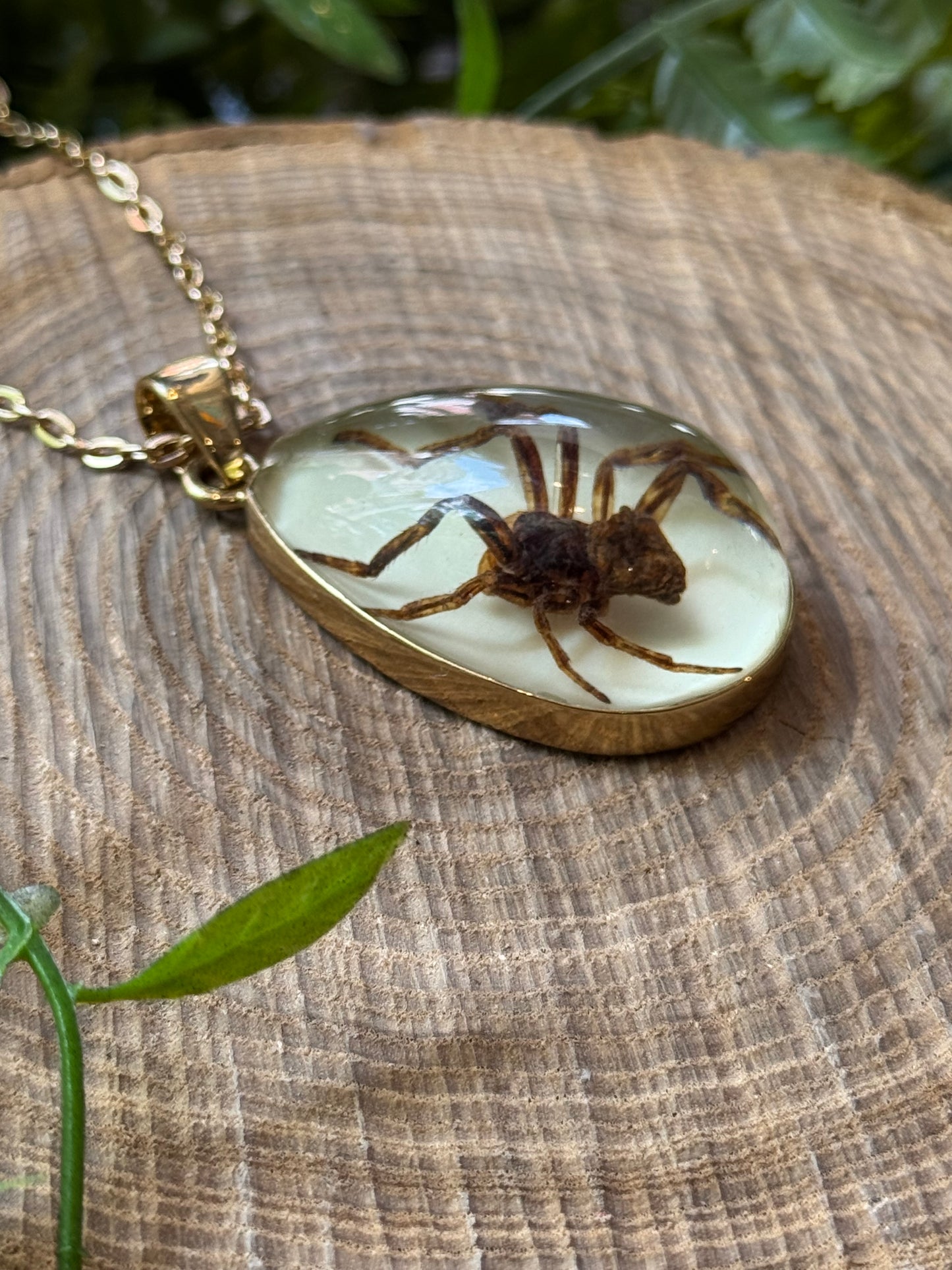 Spider in Resin Pendant Necklace