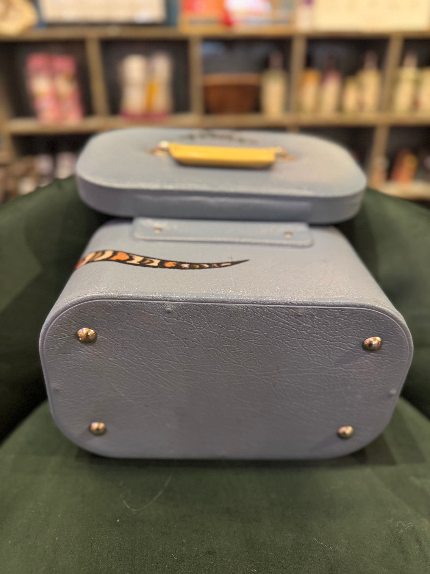 Slytherin' Painted Milk Snake Travel Case - Lock & Key / Tony Perrin*