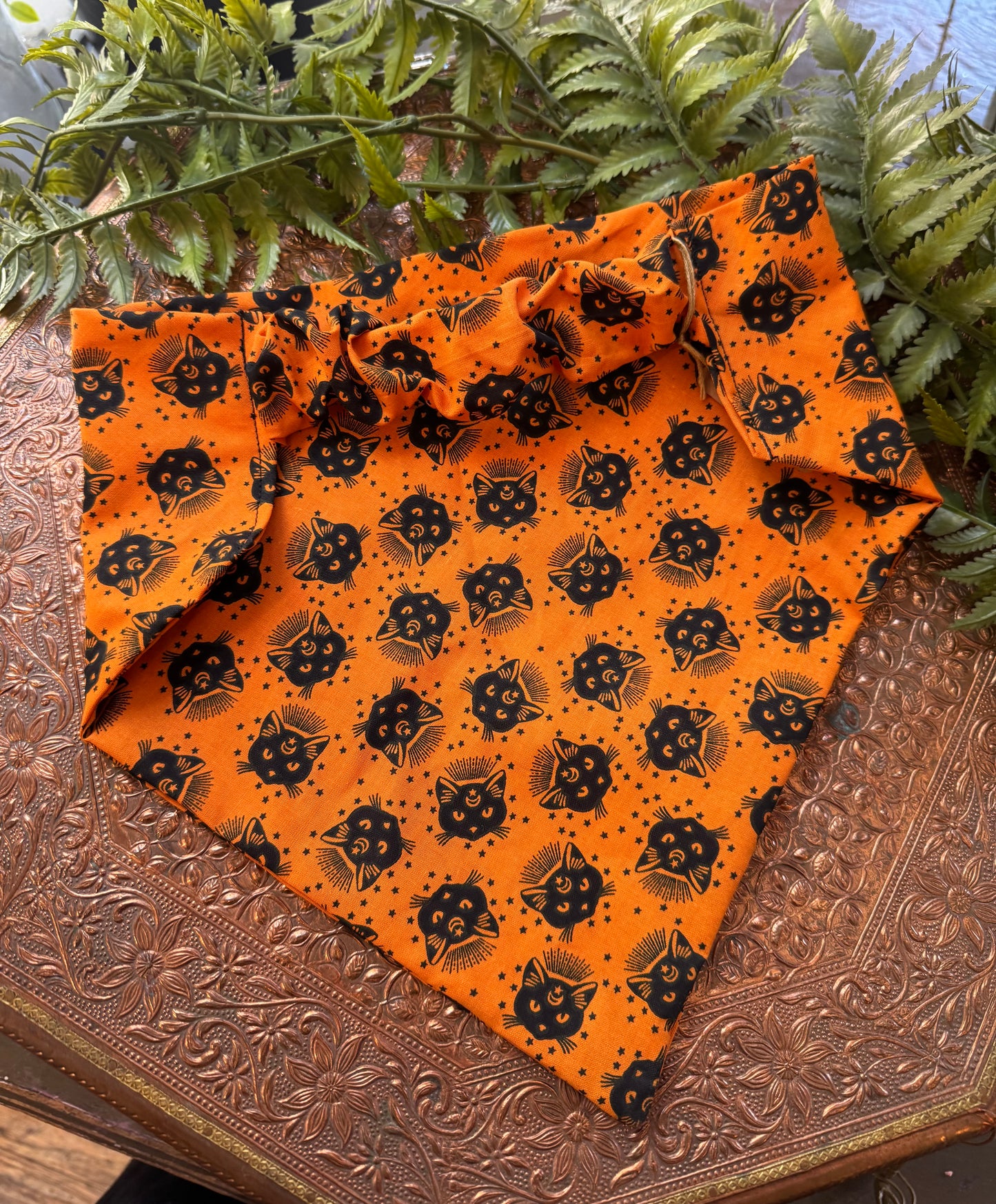 Black Cats / Orange Bandana #SS9*