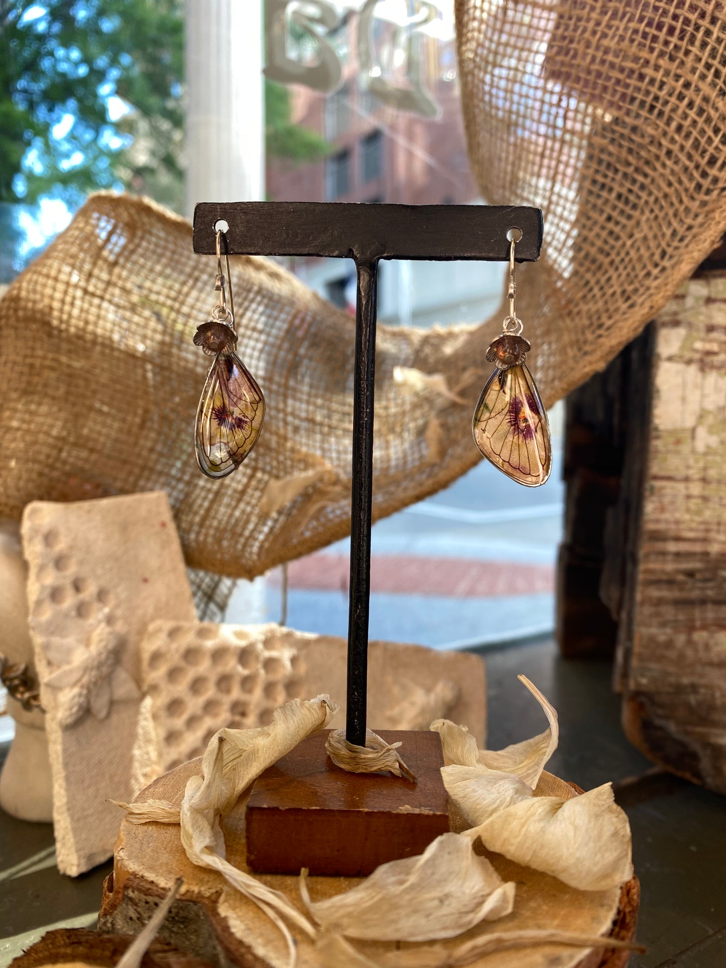 Cicada Wings On Vintage Postcard Earrings (1) *E267