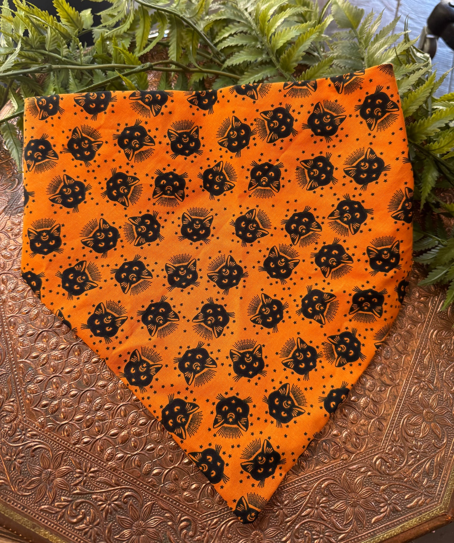 Black Cats / Orange Bandana #SS9*
