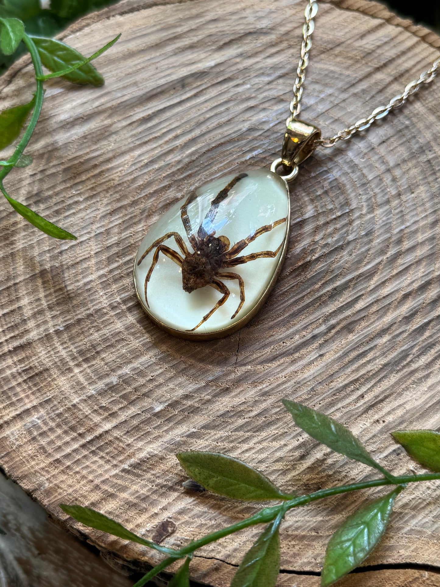 Spider in Resin Pendant Necklace