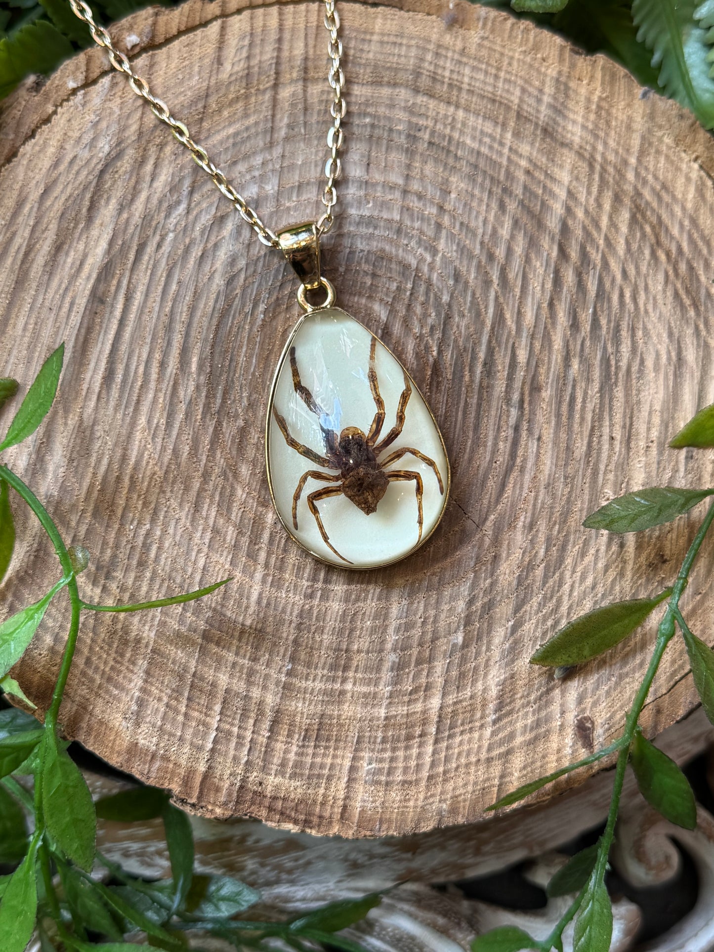 Spider in Resin Pendant Necklace