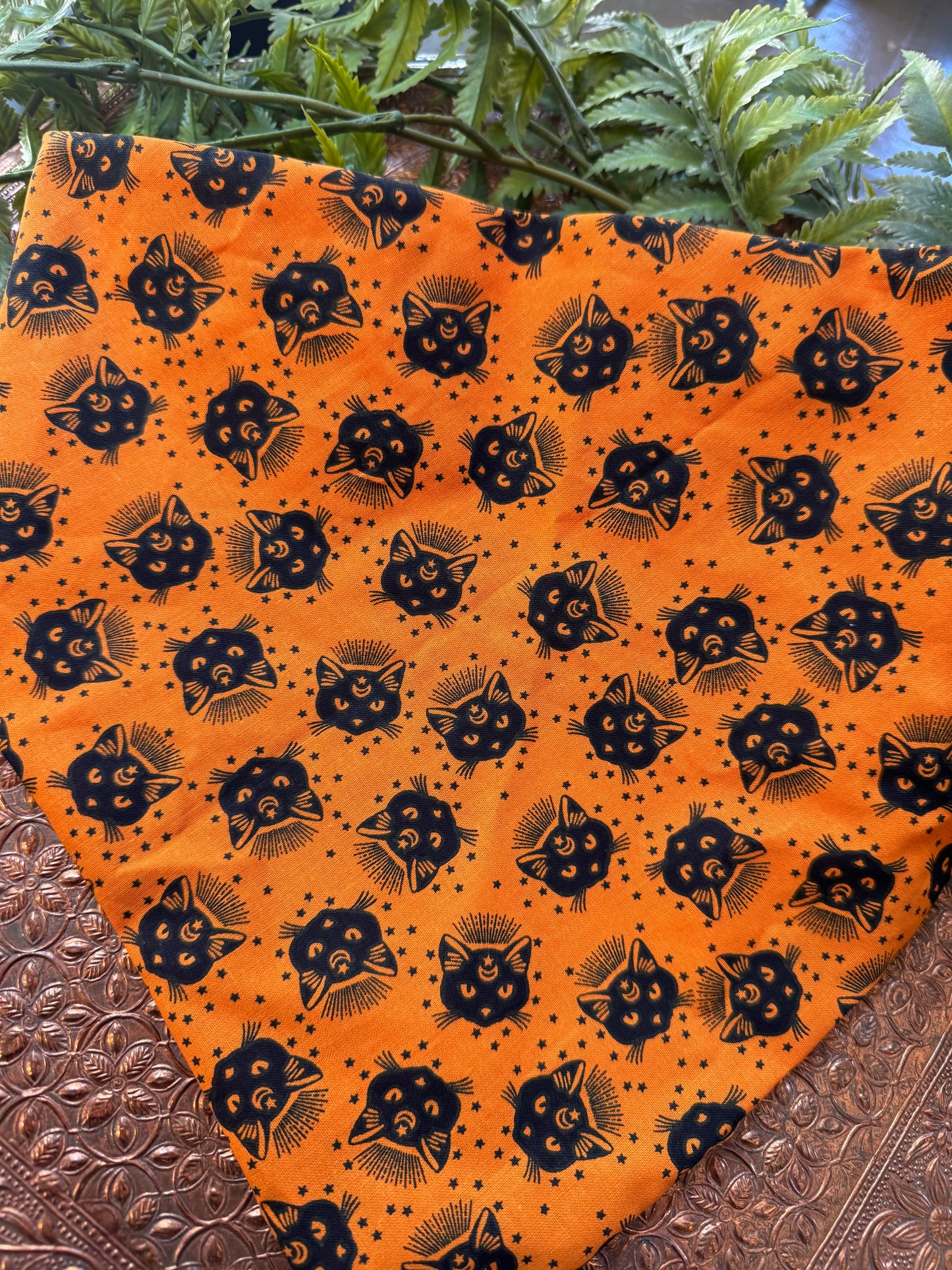 Black Cats / Orange Bandana #SS9*
