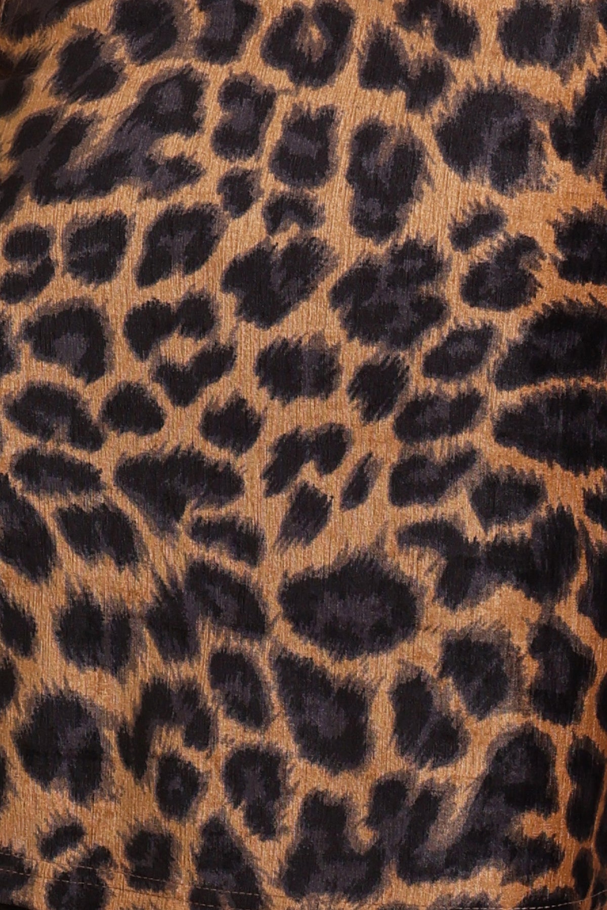 Anarchy Coat - Leopard