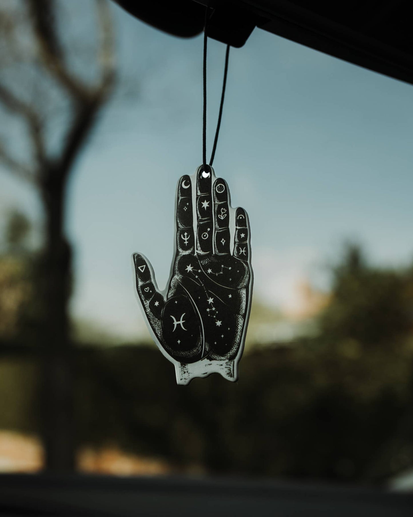 Pisces Zodiac Air Freshener