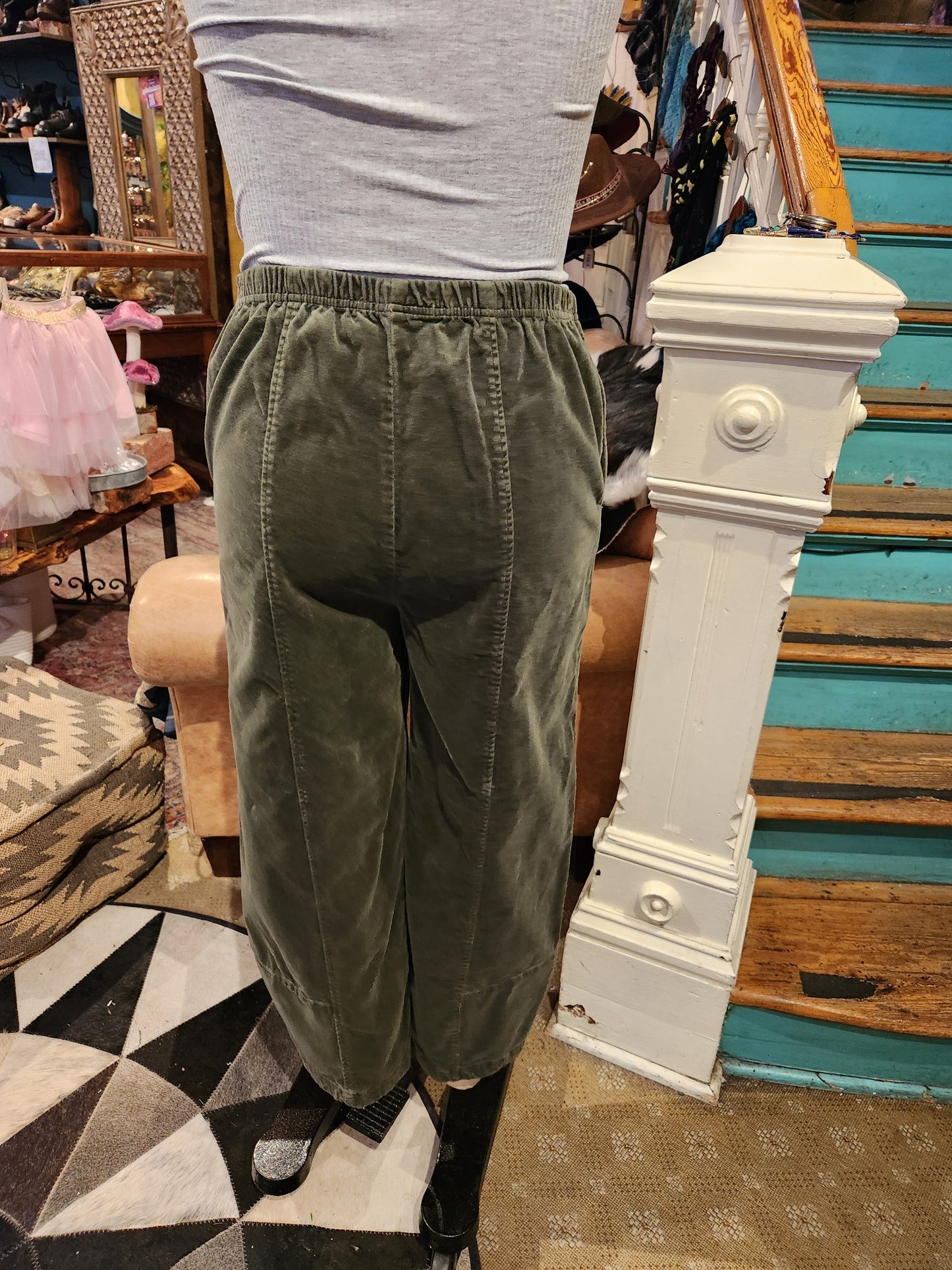 Velvet Lantern Plant - Kelp