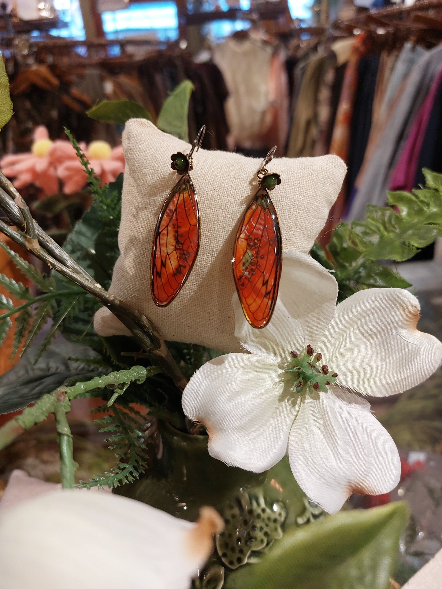 Cicada Wings On Postcard Earrings (4) *E257