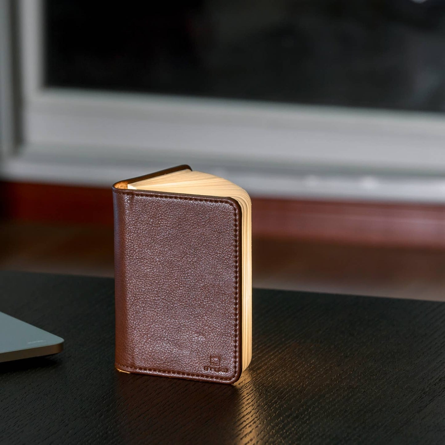 Bonded Leather Smart Book Light - La De Da