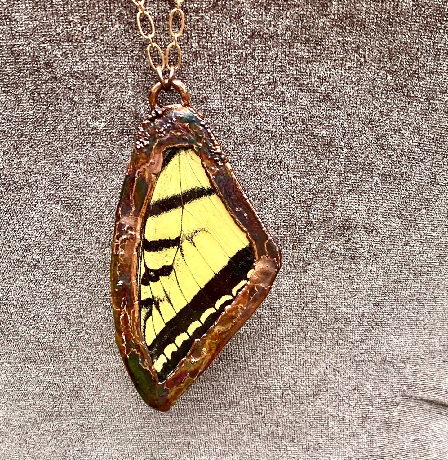 Real Tiger Swallowtail Butterfly Wing Pendant - La De Da