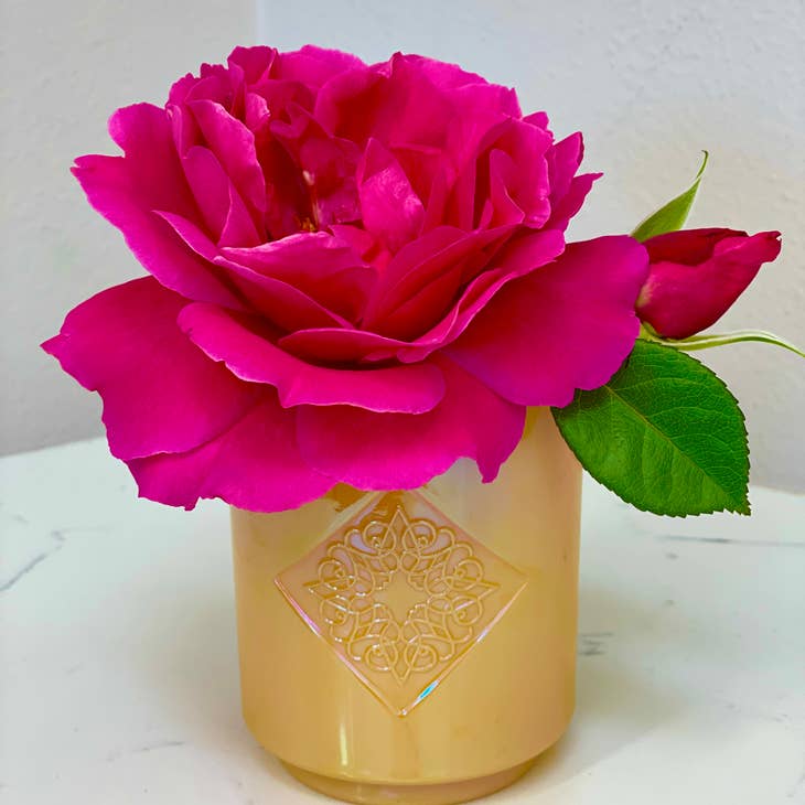 Daylight Glass Candle - La De Da