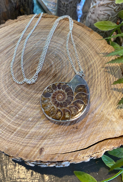 Ammonite Pendant Necklace* #IV102