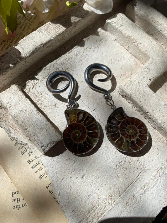 Ammonite and Silver Gauges* #IV35