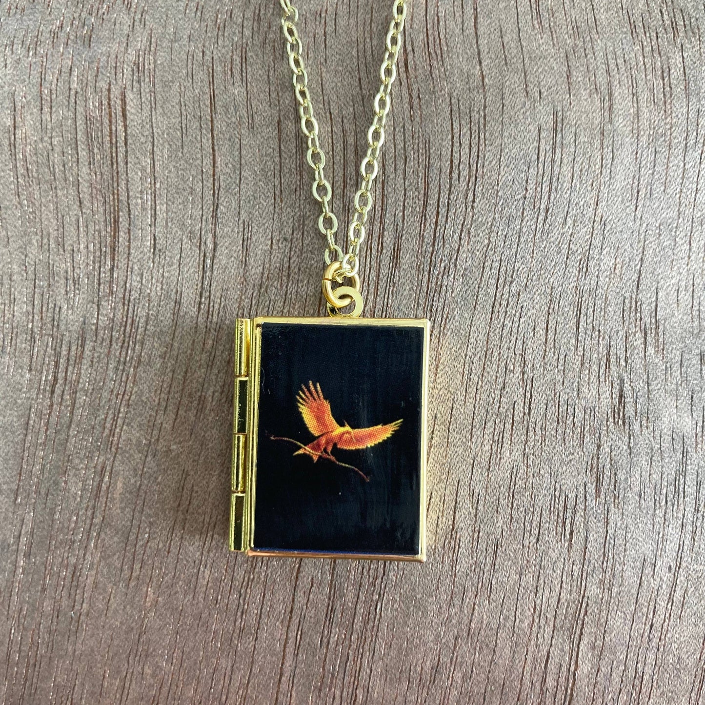 Book Locket Hunger Games  - Brass