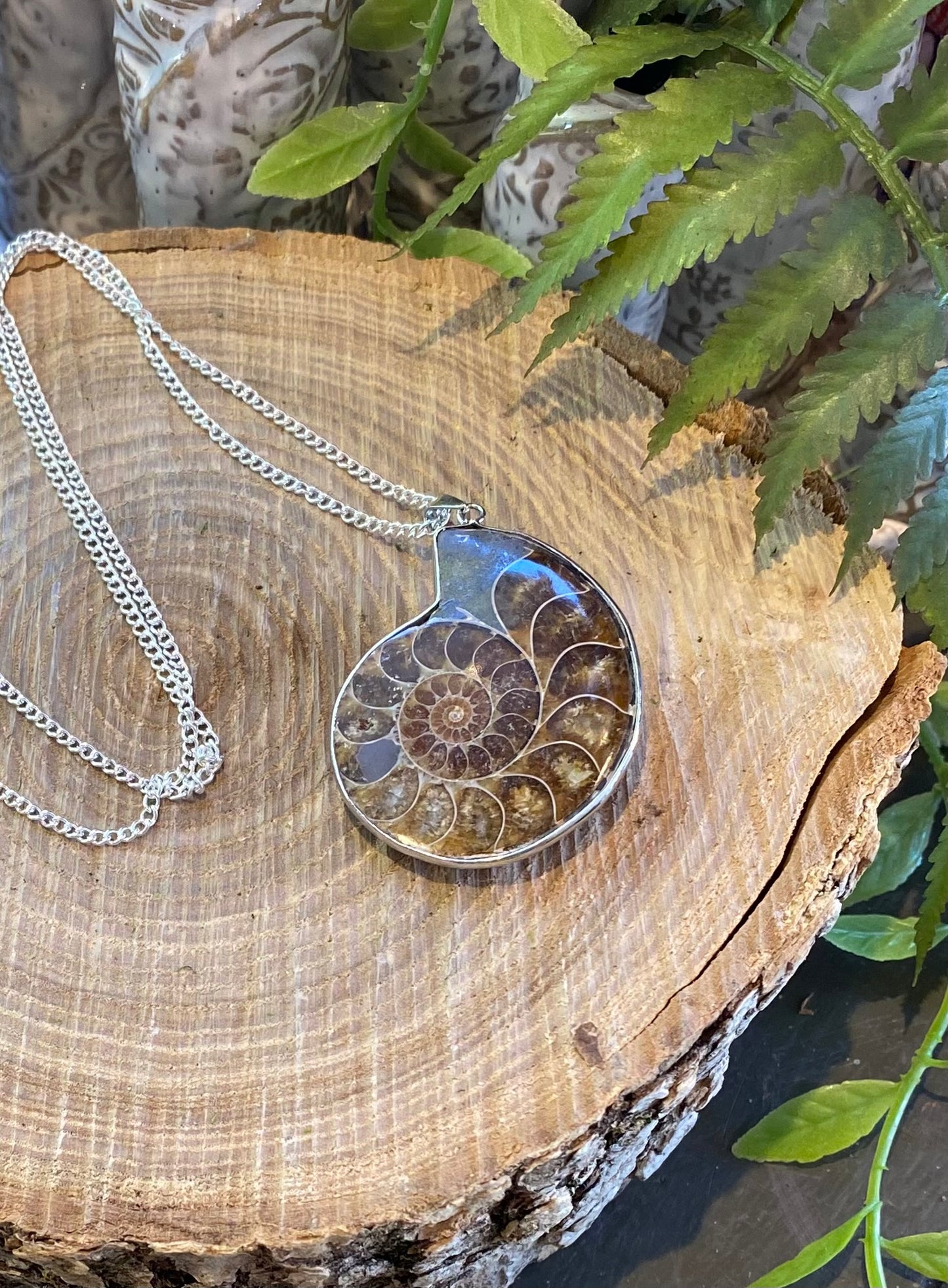 Ammonite Pendant Necklace* #IV102