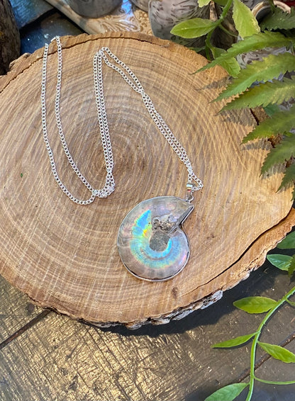 Ammonite Pendant Necklace* #IV102
