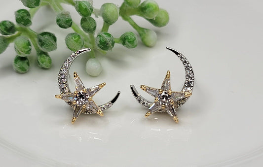 Moon & Star Post Earrings