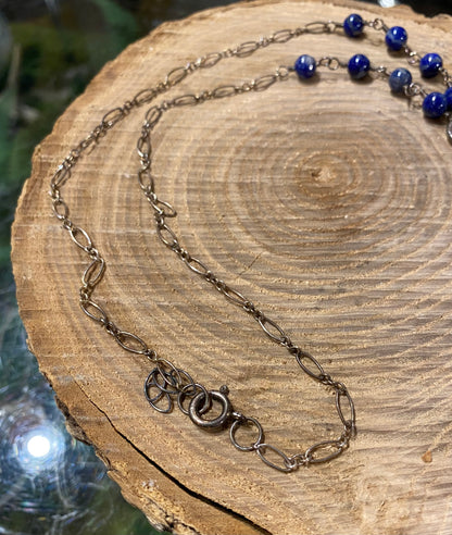 Cicada Wings w/ Sodalite Necklace *N254