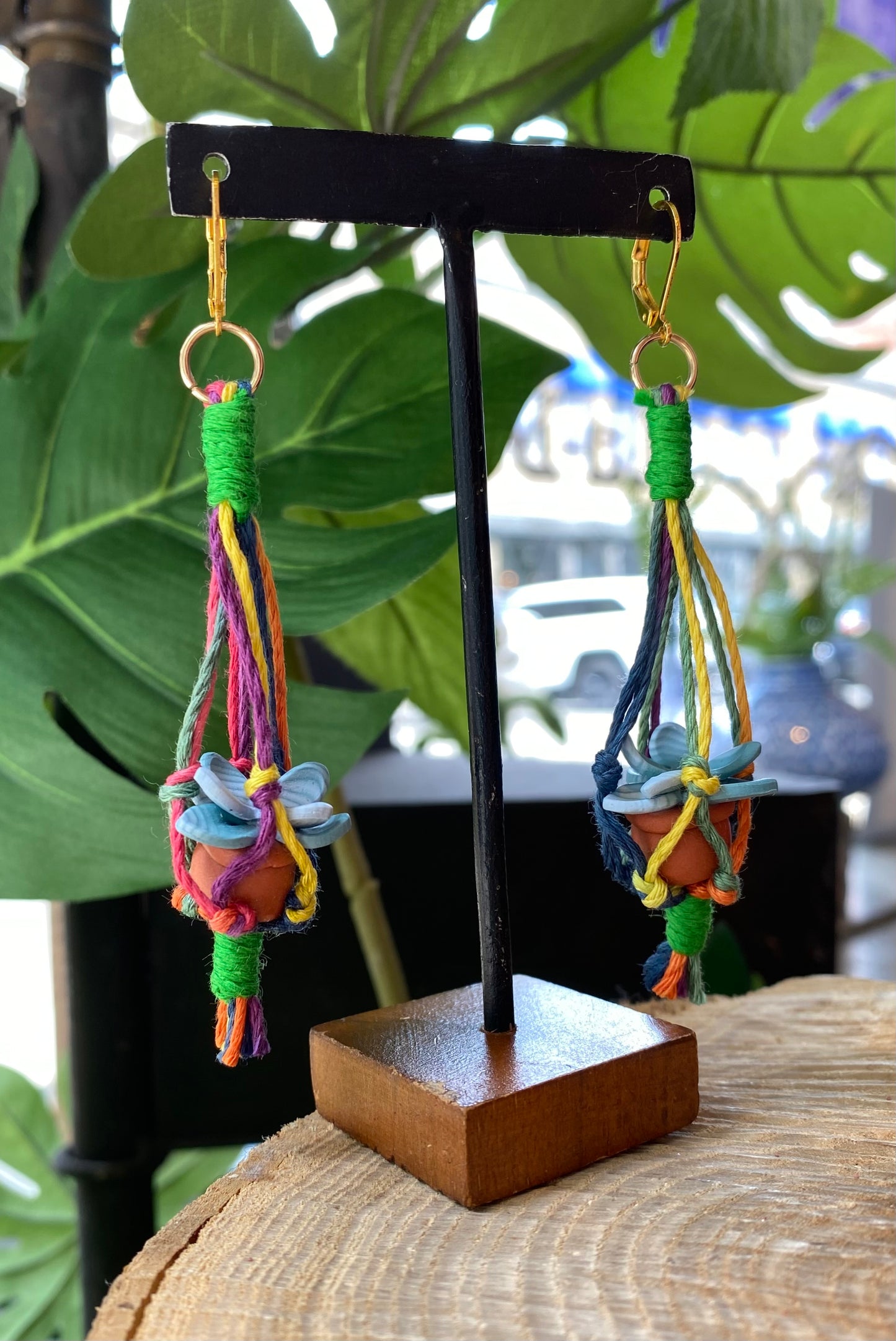 Hanging Plants - Colorful Macrame *E39
