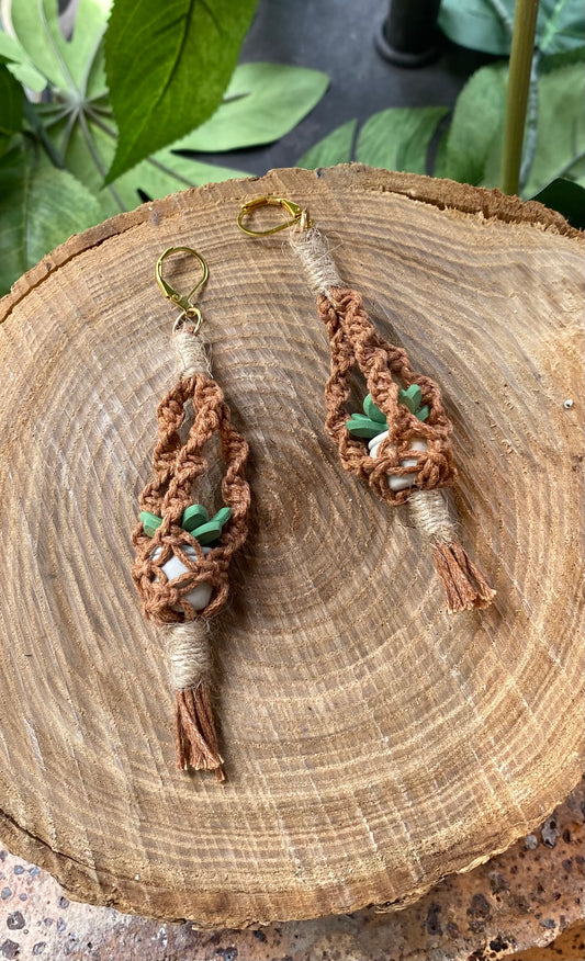 Hanging Plants - Terra Cotta Macrame *E41