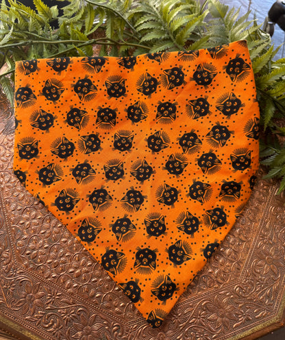 Black Cats / Orange Bandana #SS9*