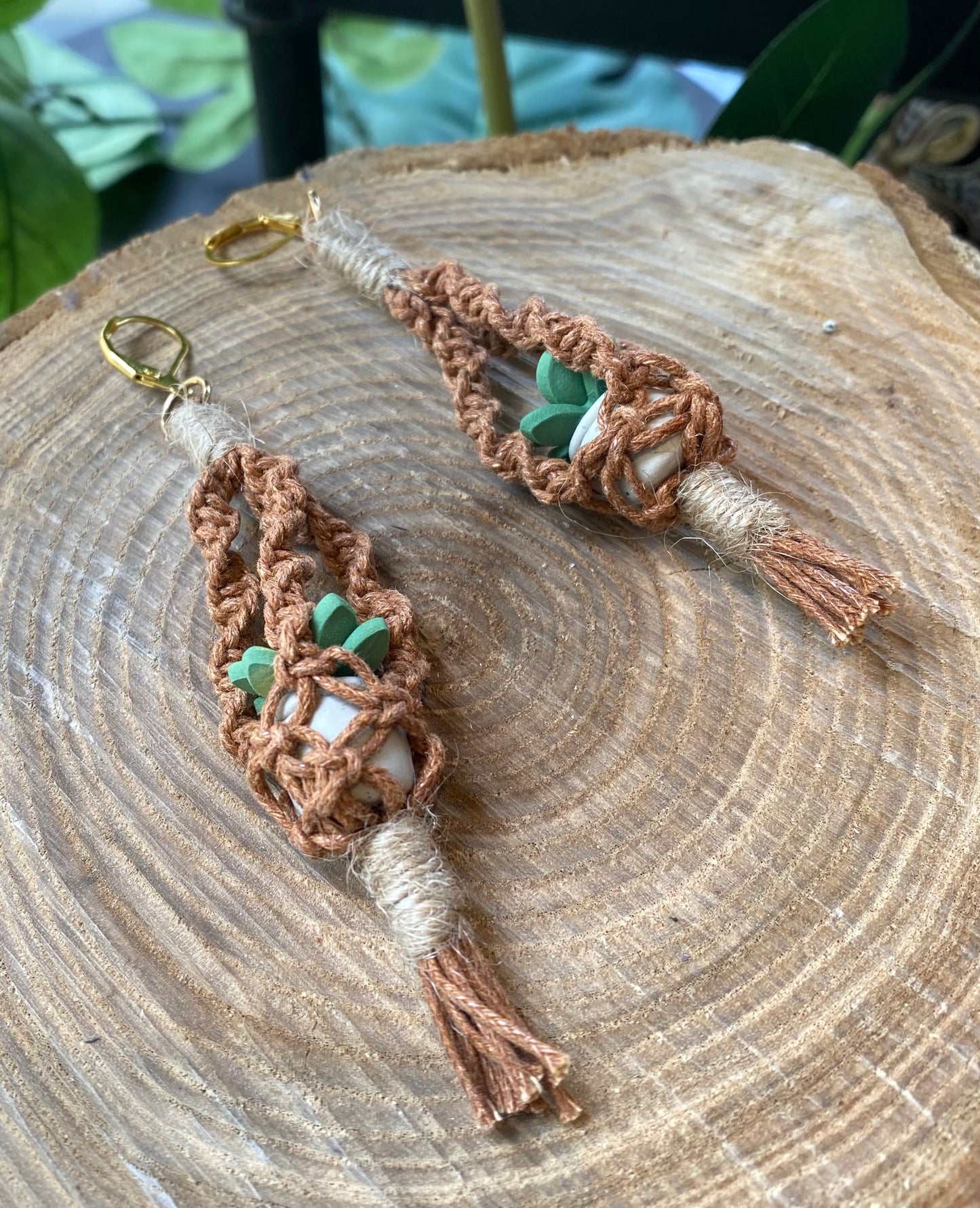 Hanging Plants - Terra Cotta Macrame *E41