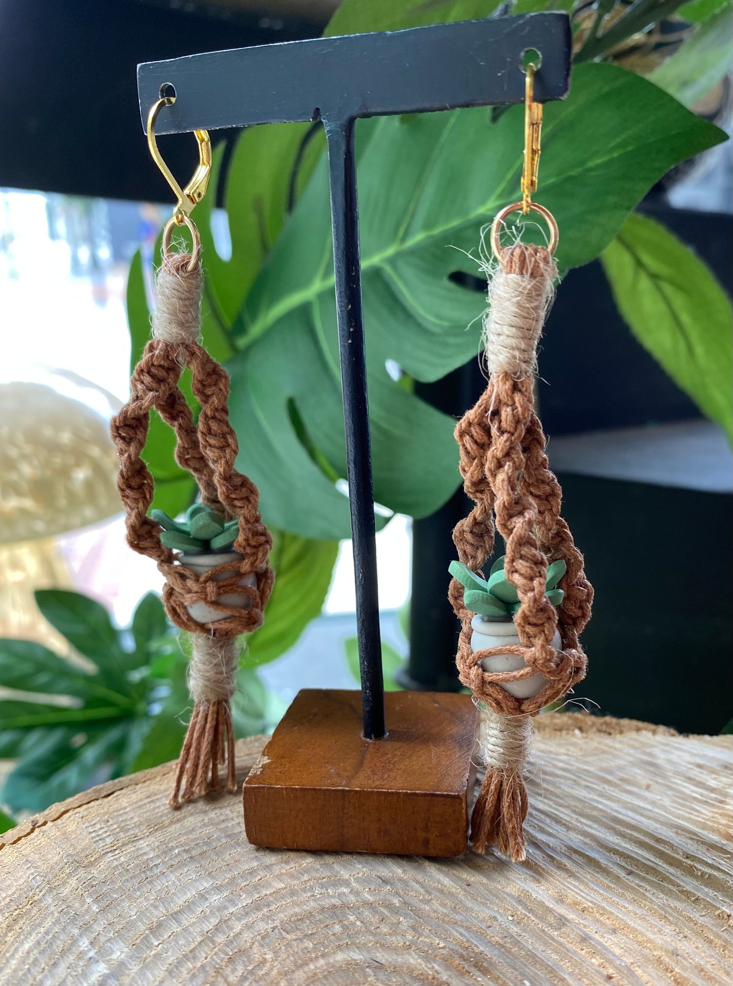 Hanging Plants - Terra Cotta Macrame *E41