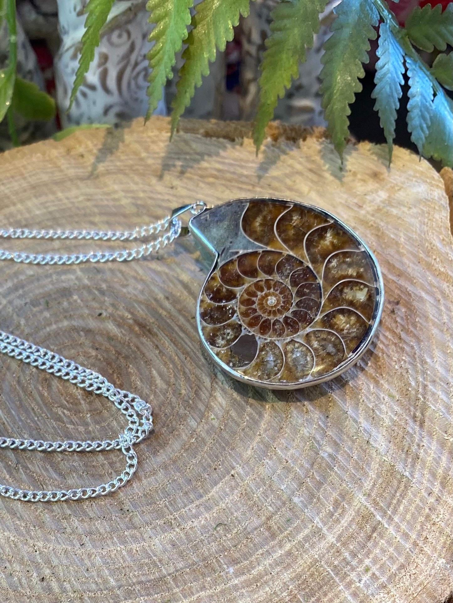 Ammonite Pendant Necklace* #IV102