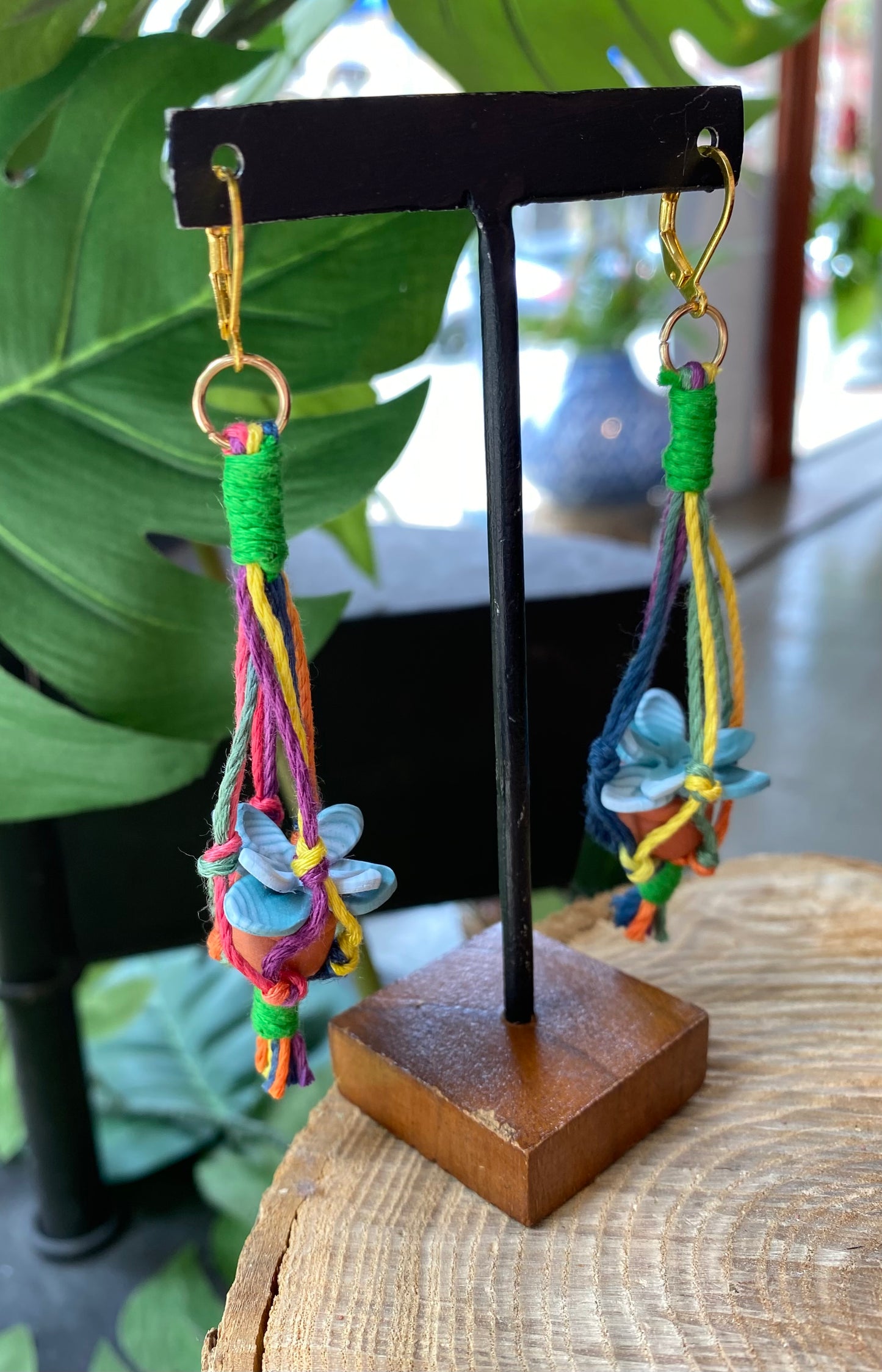 Hanging Plants - Colorful Macrame *E39