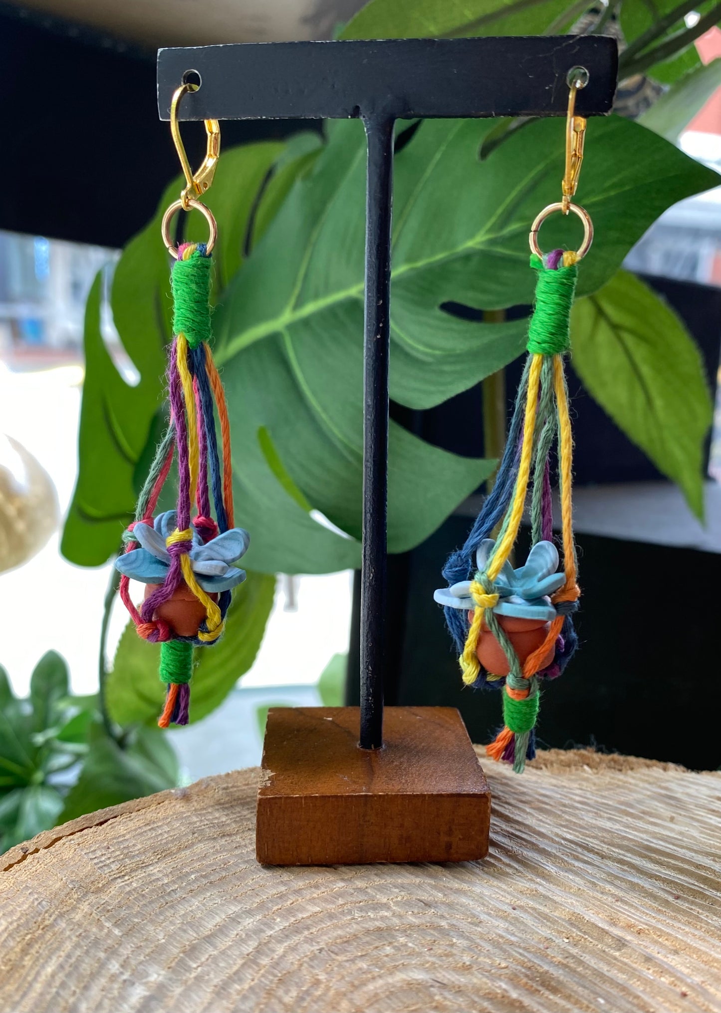 Hanging Plants - Colorful Macrame *E39