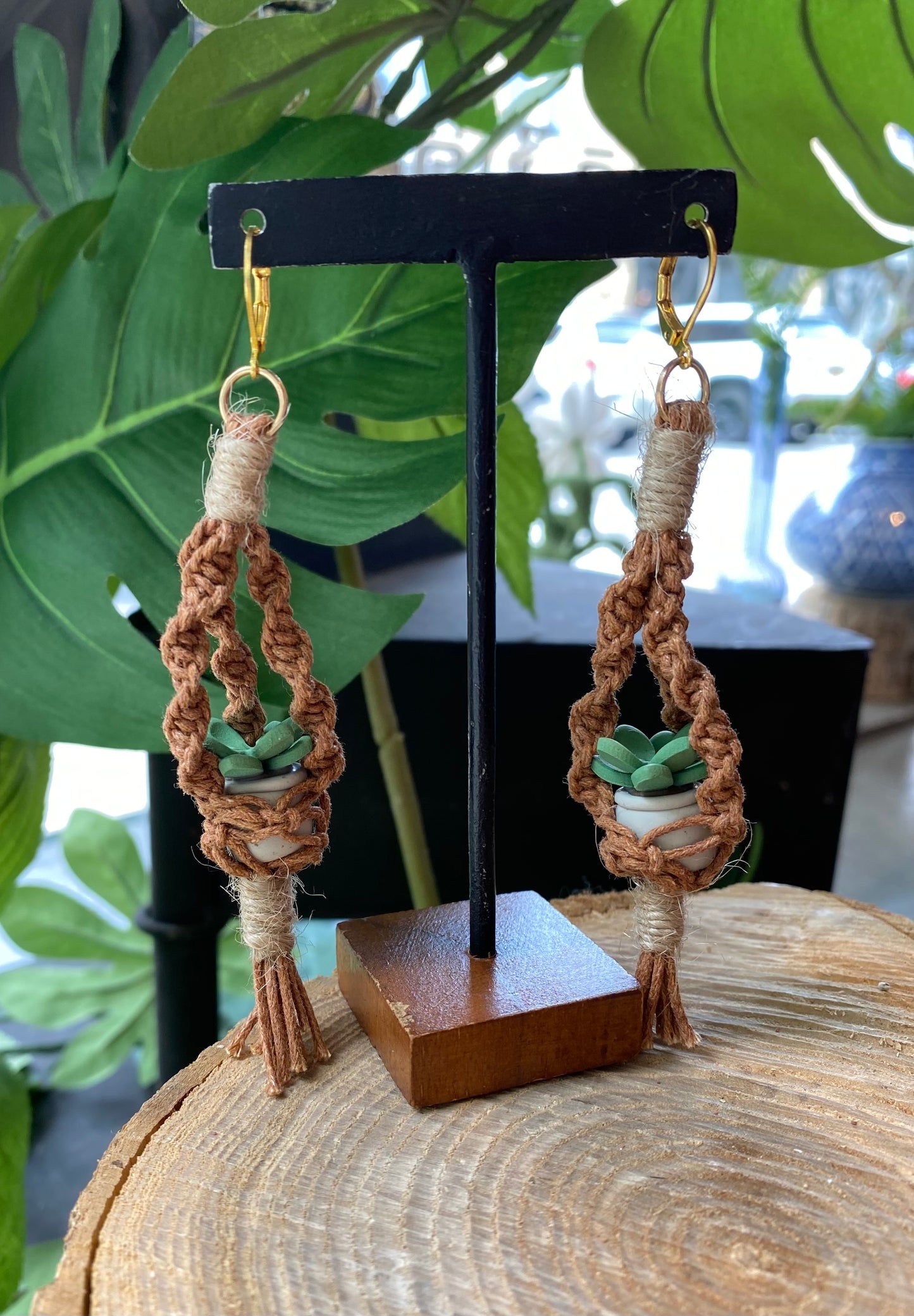 Hanging Plants - Terra Cotta Macrame *E41