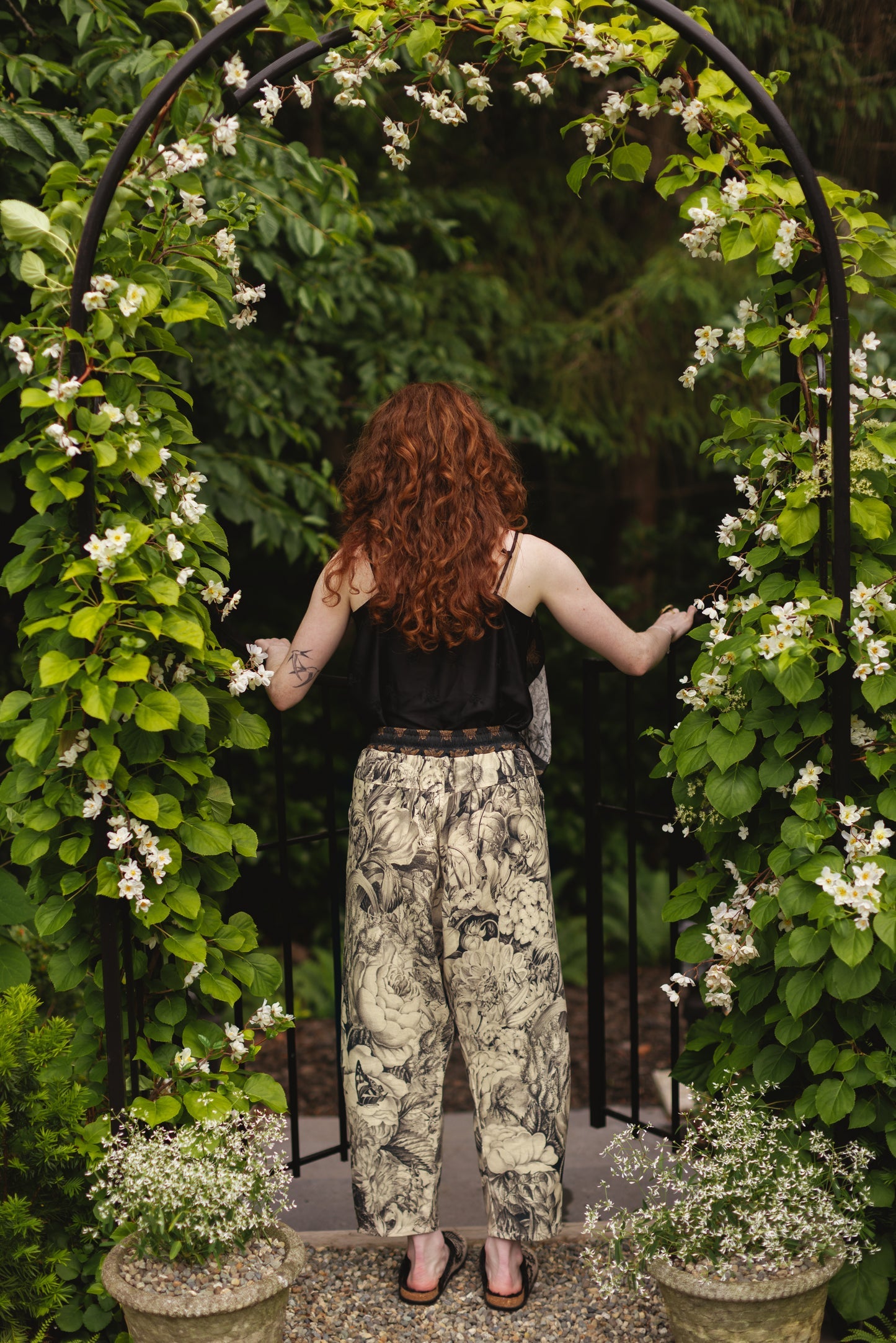 Honey & The Moon Artist Pant