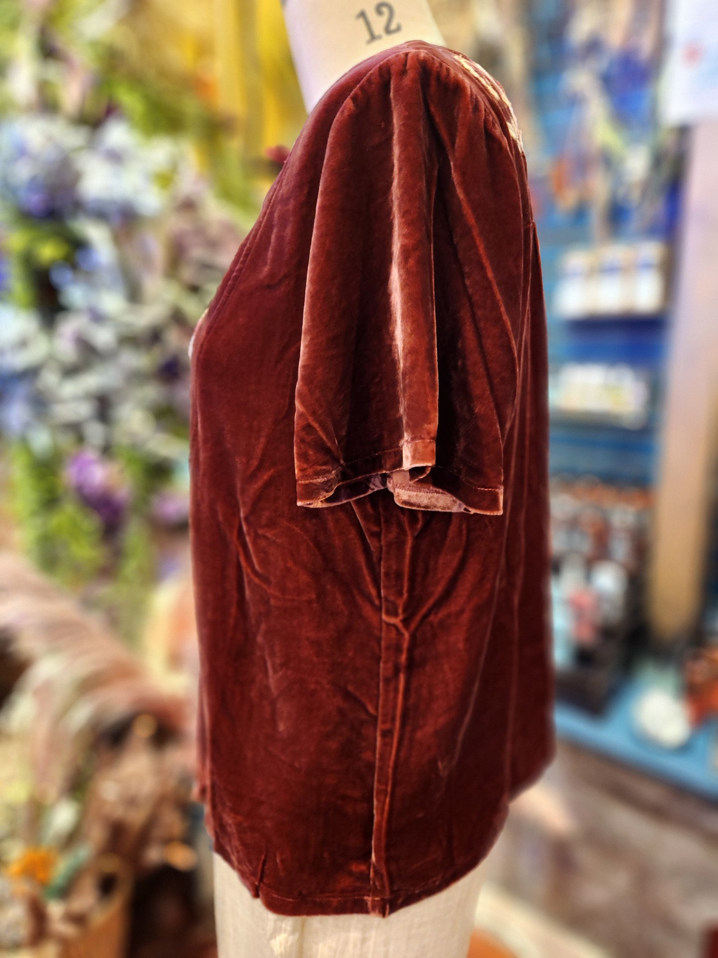 Velvet Yoke Blouse