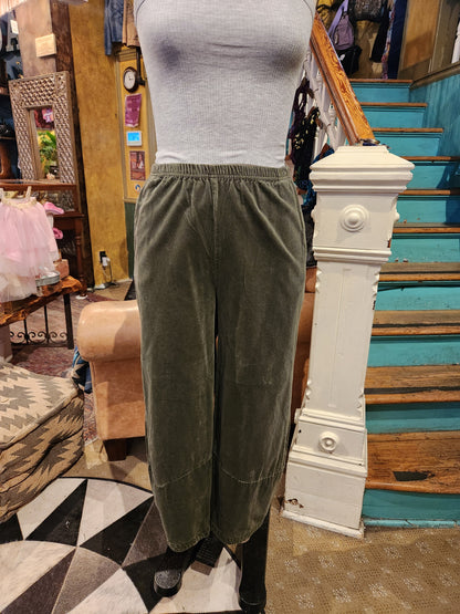 Velvet Lantern Plant - Kelp