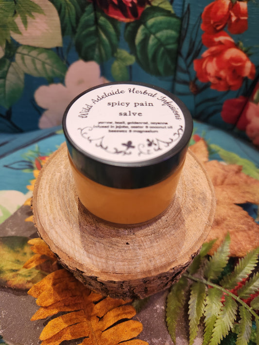 *Spicy Pain Salve - 2oz