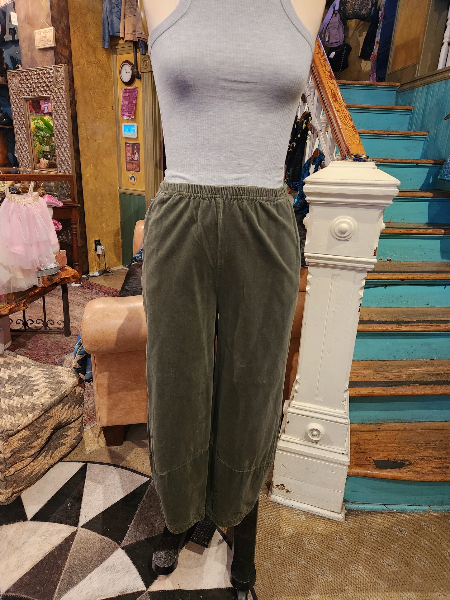 Velvet Lantern Plant - Kelp