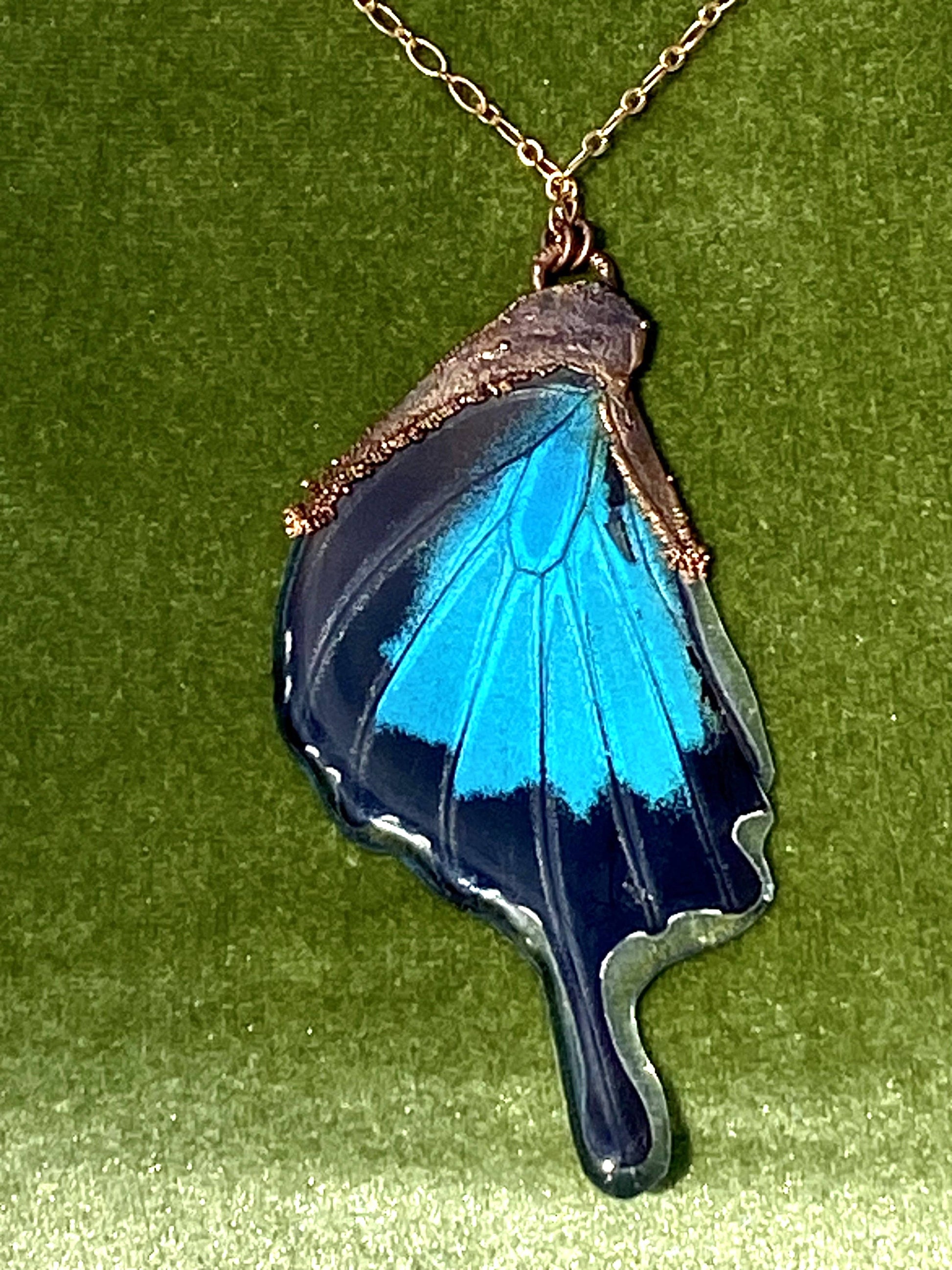 Blue Papilio Butterfly Wing Necklace - La De Da